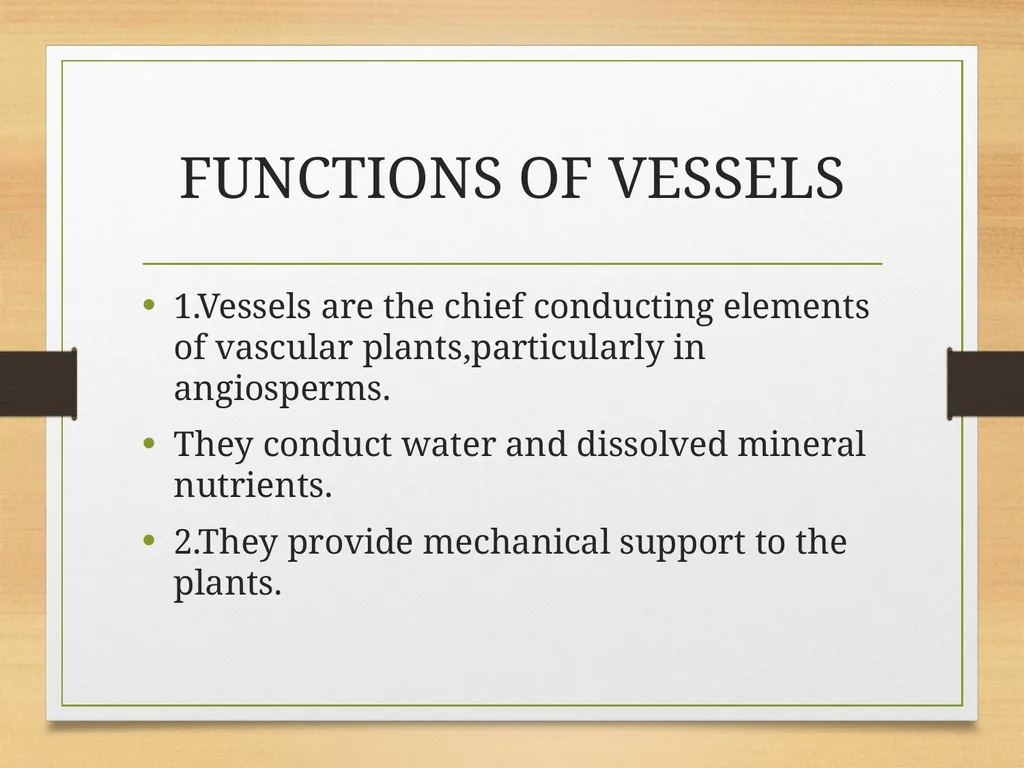 COMPLEX TISSUES Presented by Jipcy Mol.P COMPLEX - slide 21 of 33