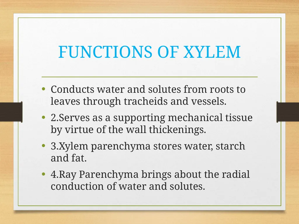 COMPLEX TISSUES Presented by Jipcy Mol.P COMPLEX - slide 33 of 33