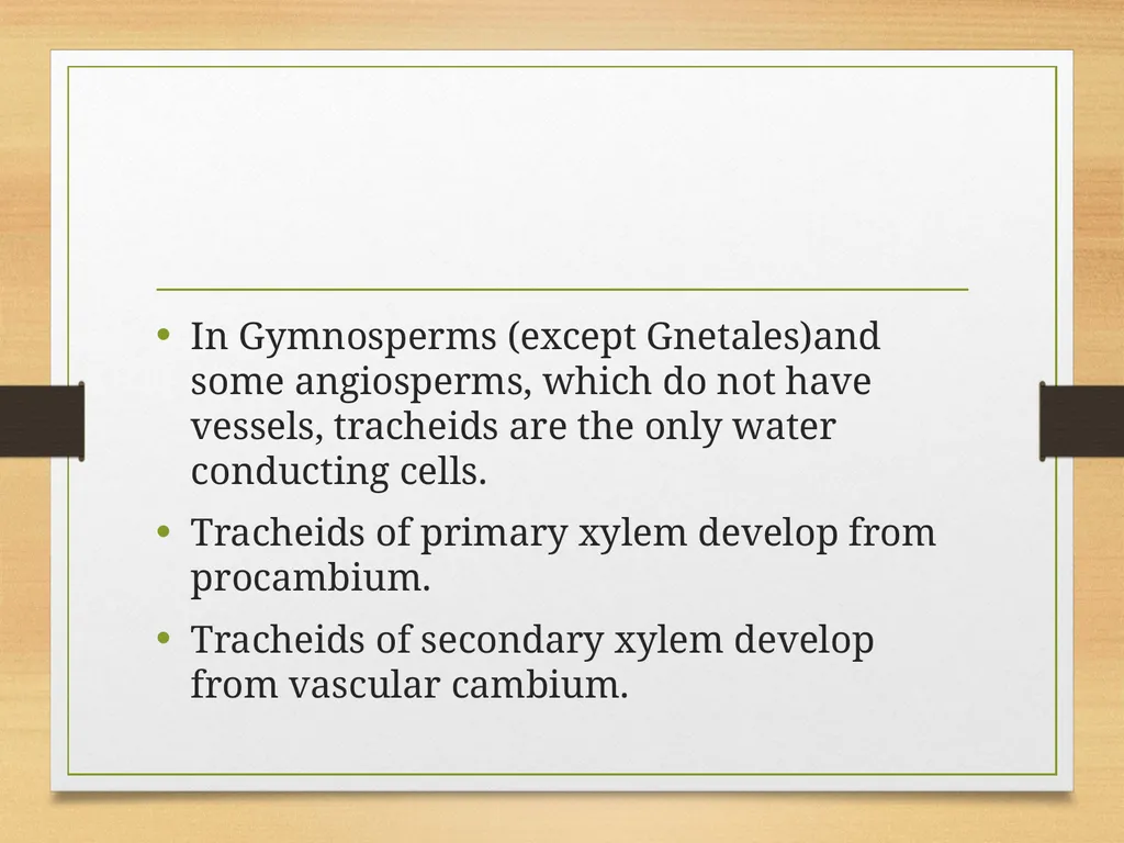 COMPLEX TISSUES Presented by Jipcy Mol.P COMPLEX - slide 9 of 33