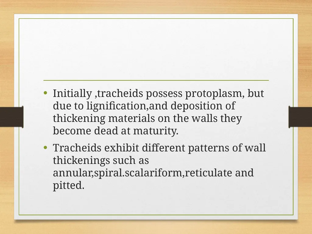 COMPLEX TISSUES Presented by Jipcy Mol.P COMPLEX - slide 10 of 33