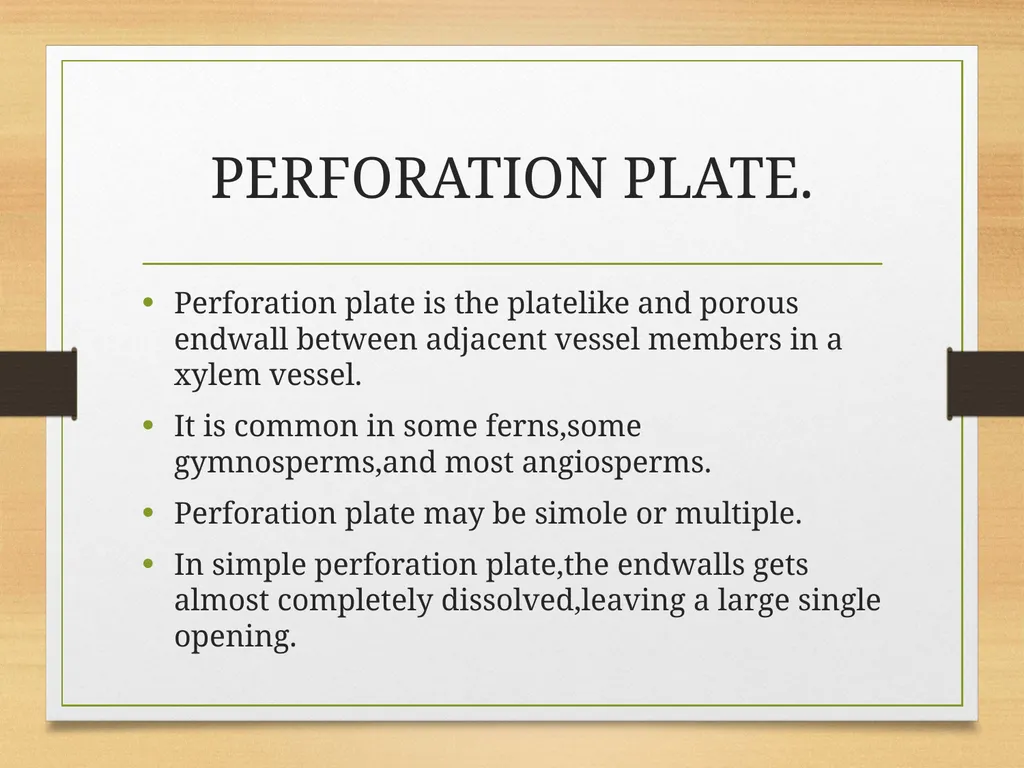 COMPLEX TISSUES Presented by Jipcy Mol.P COMPLEX - slide 15 of 33