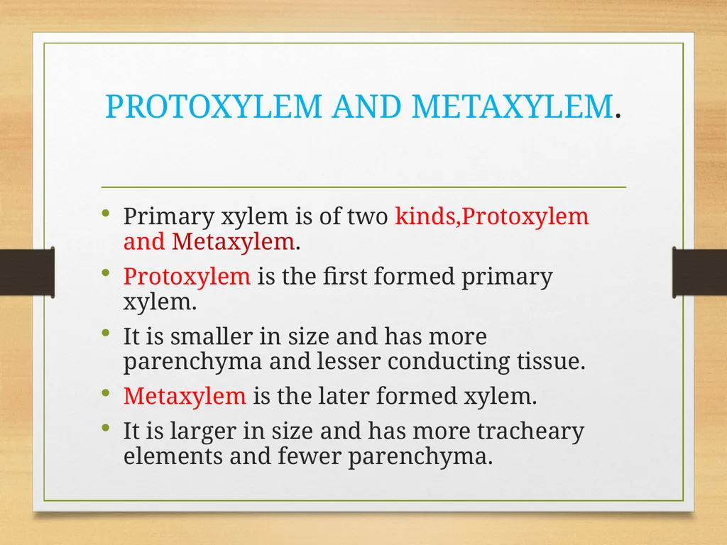 COMPLEX TISSUES Presented by Jipcy Mol.P COMPLEX - slide 28 of 33