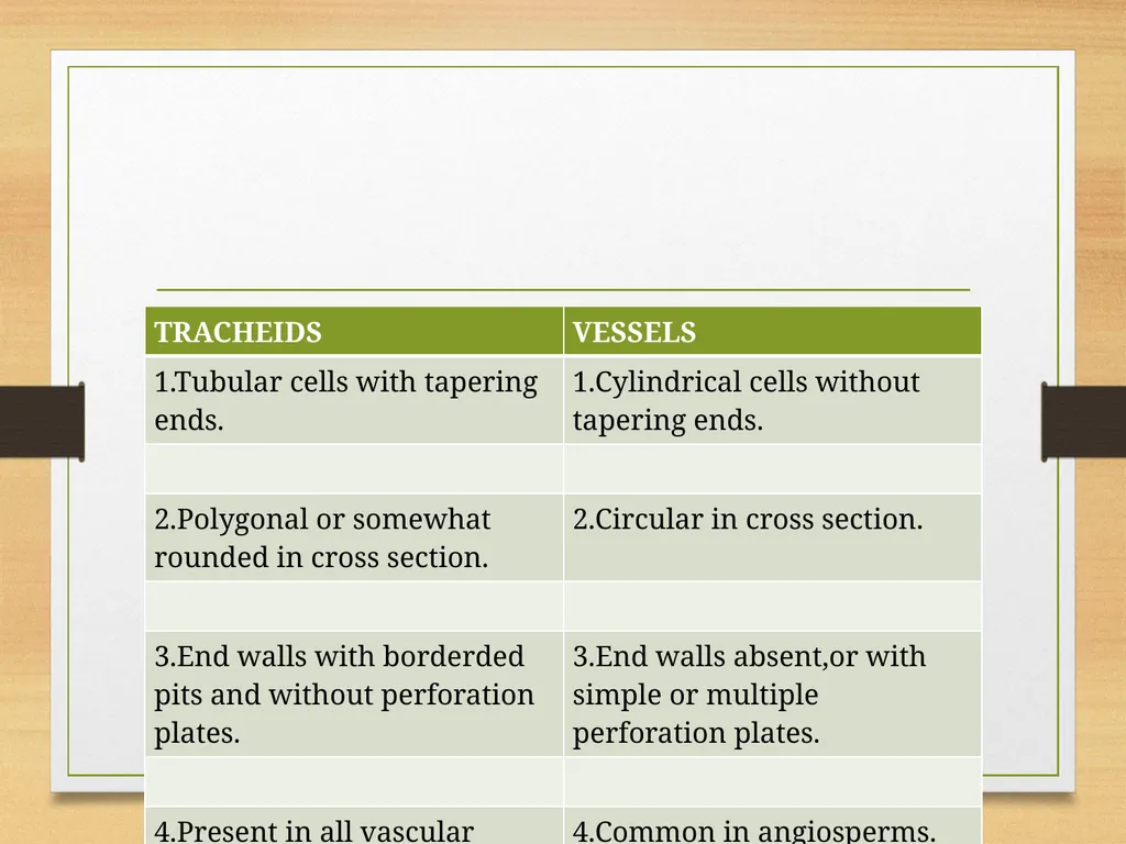 COMPLEX TISSUES Presented by Jipcy Mol.P COMPLEX - slide 22 of 33