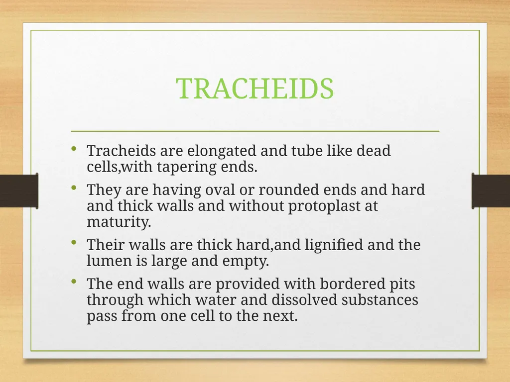 COMPLEX TISSUES Presented by Jipcy Mol.P COMPLEX - slide 8 of 33