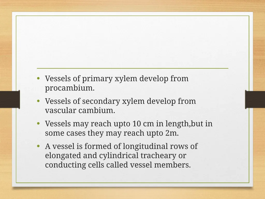 COMPLEX TISSUES Presented by Jipcy Mol.P COMPLEX - slide 13 of 33