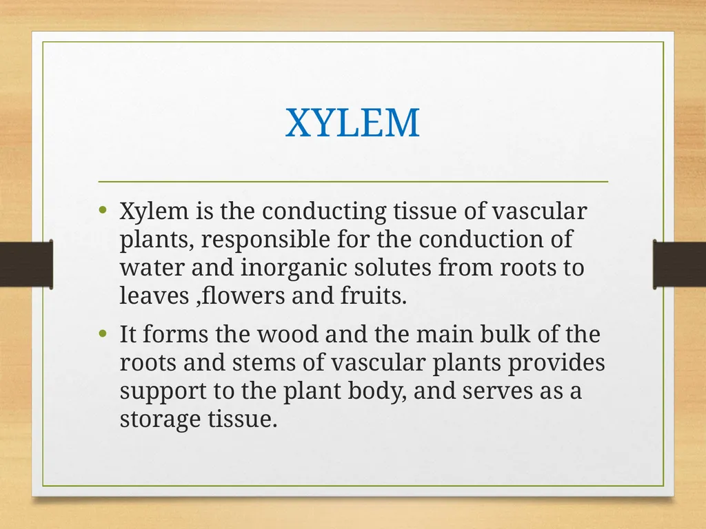 COMPLEX TISSUES Presented by Jipcy Mol.P COMPLEX - slide 3 of 33