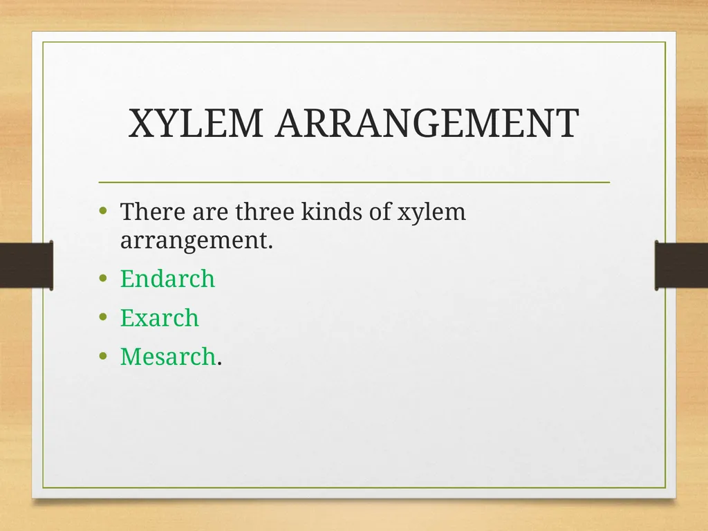 COMPLEX TISSUES Presented by Jipcy Mol.P COMPLEX - slide 29 of 33