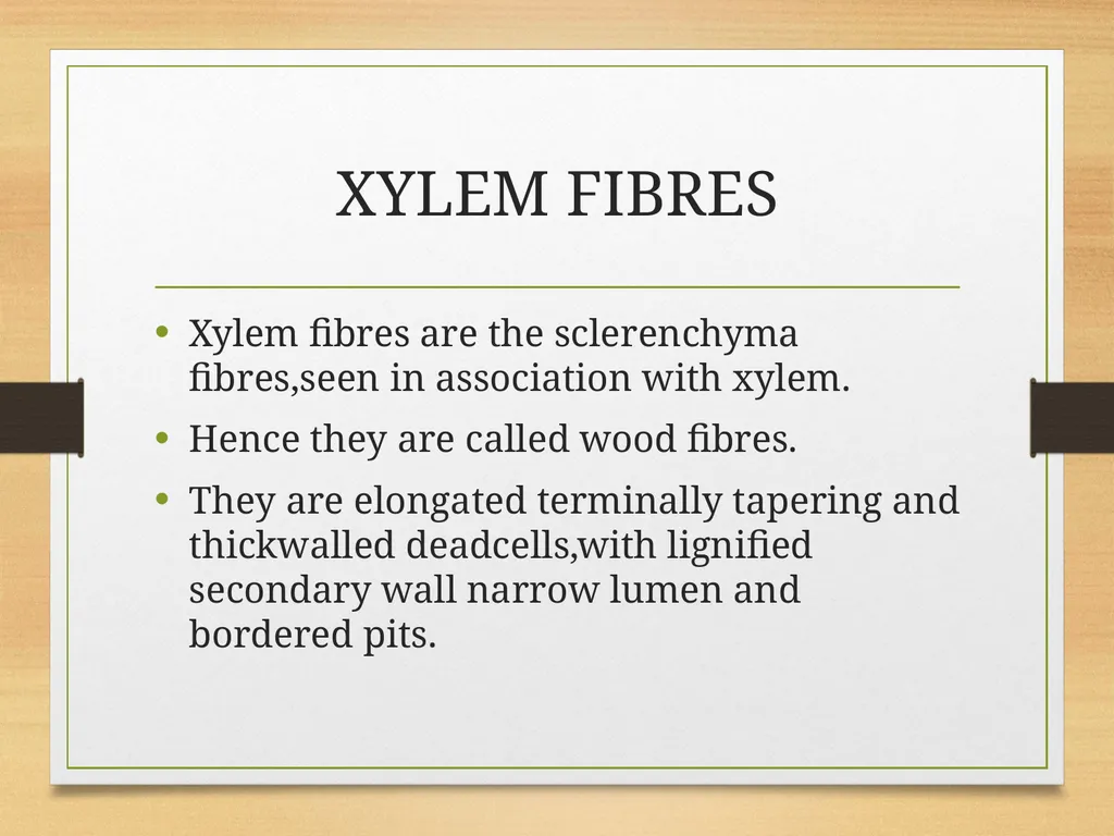 COMPLEX TISSUES Presented by Jipcy Mol.P COMPLEX - slide 23 of 33