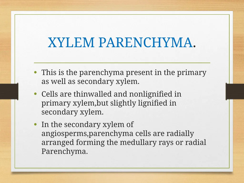 COMPLEX TISSUES Presented by Jipcy Mol.P COMPLEX - slide 26 of 33