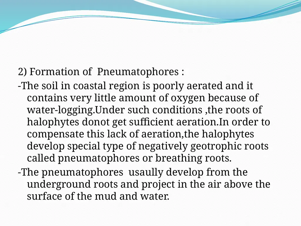Mangroves Prof. Mrs. Manisha Gurme Dept.Of Botany - slide 7 of 15