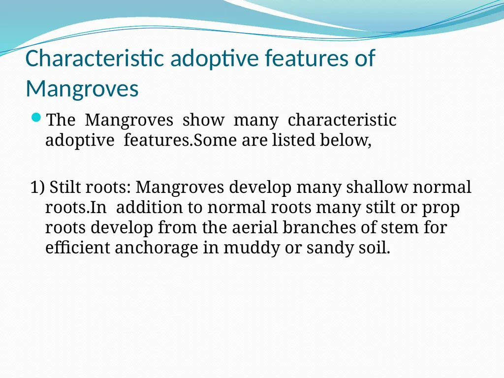 Mangroves Prof. Mrs. Manisha Gurme Dept.Of Botany - slide 5 of 15