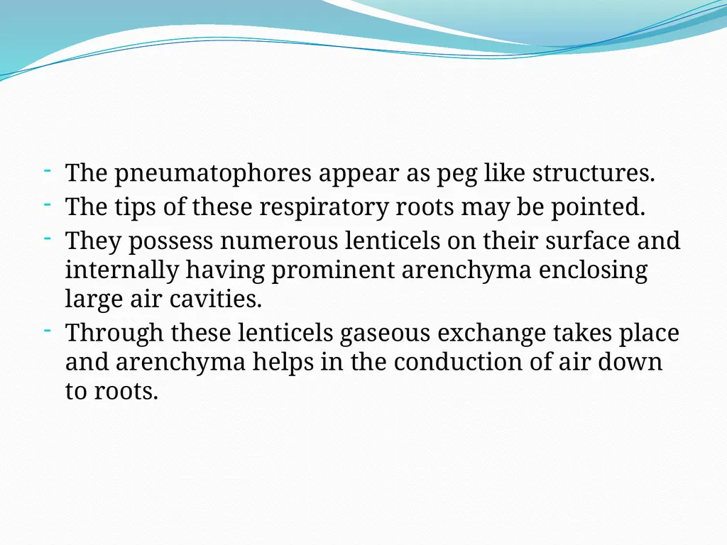 Mangroves Prof. Mrs. Manisha Gurme Dept.Of Botany - slide 9 of 15