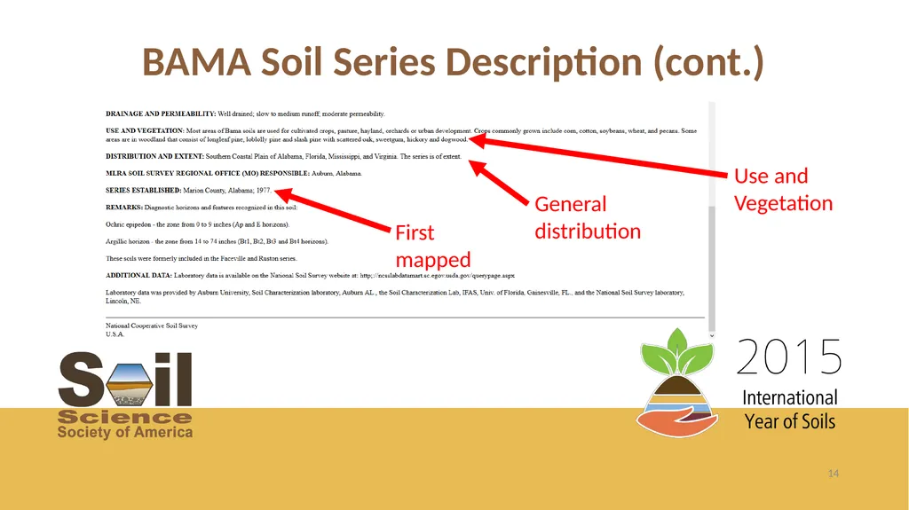 Getting the Dirt on Presented by Name, Position - slide 14 of 17