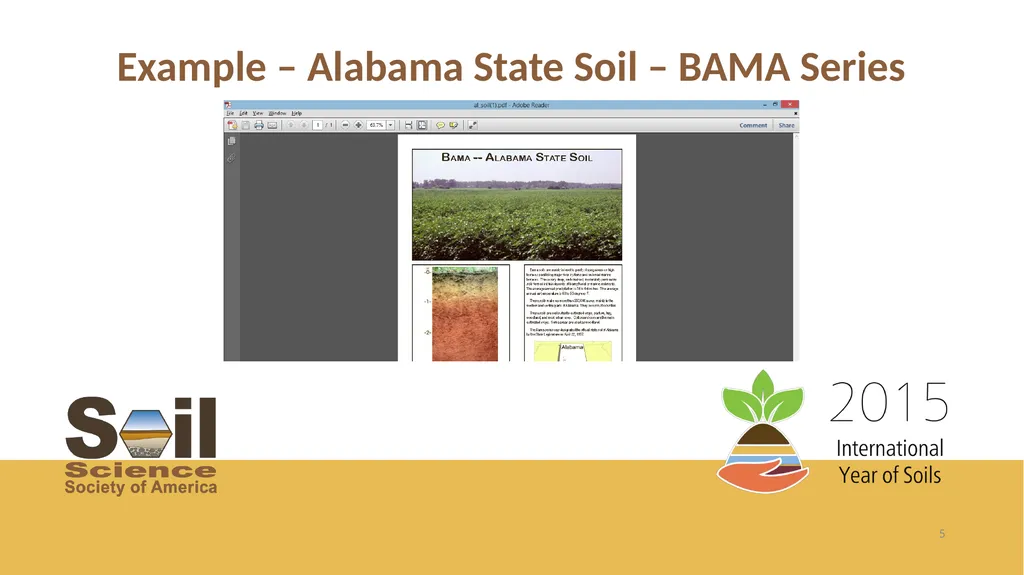 Getting the Dirt on Presented by Name, Position - slide 5 of 17
