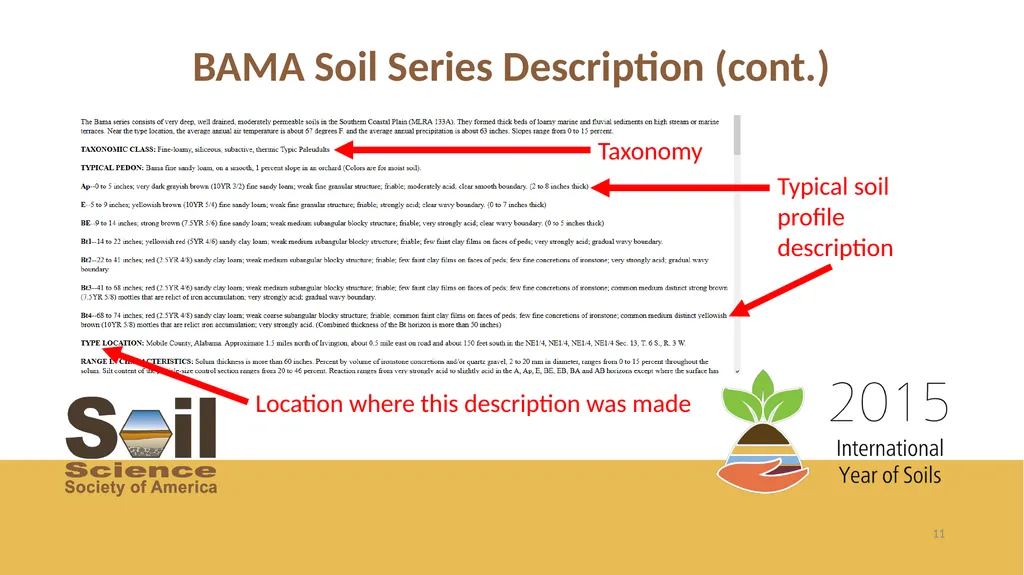 Getting the Dirt on Presented by Name, Position - slide 11 of 17