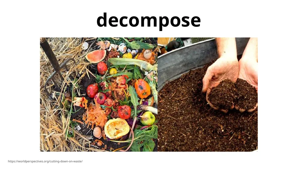 decompose - slide 2 of 9