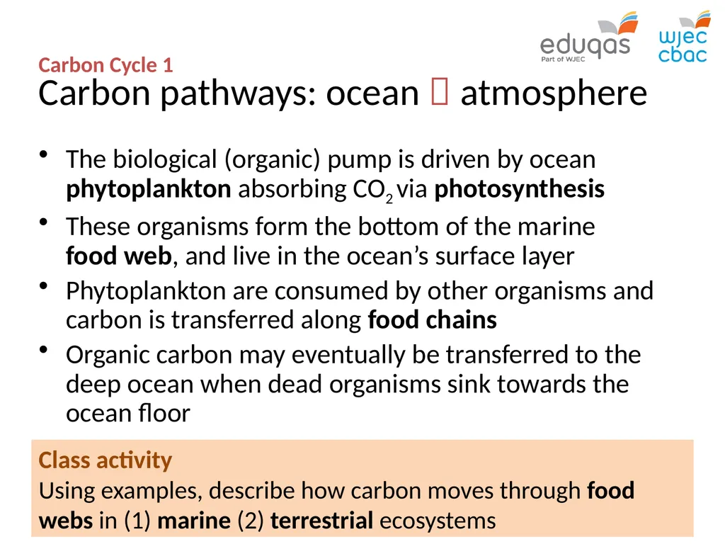 CARBON CYCLE 1 : system concepts WJEC Focus Box - slide 10 of 13