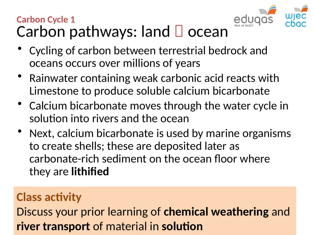 CARBON CYCLE 1 : system concepts WJEC Focus Box - slide 11 of 13