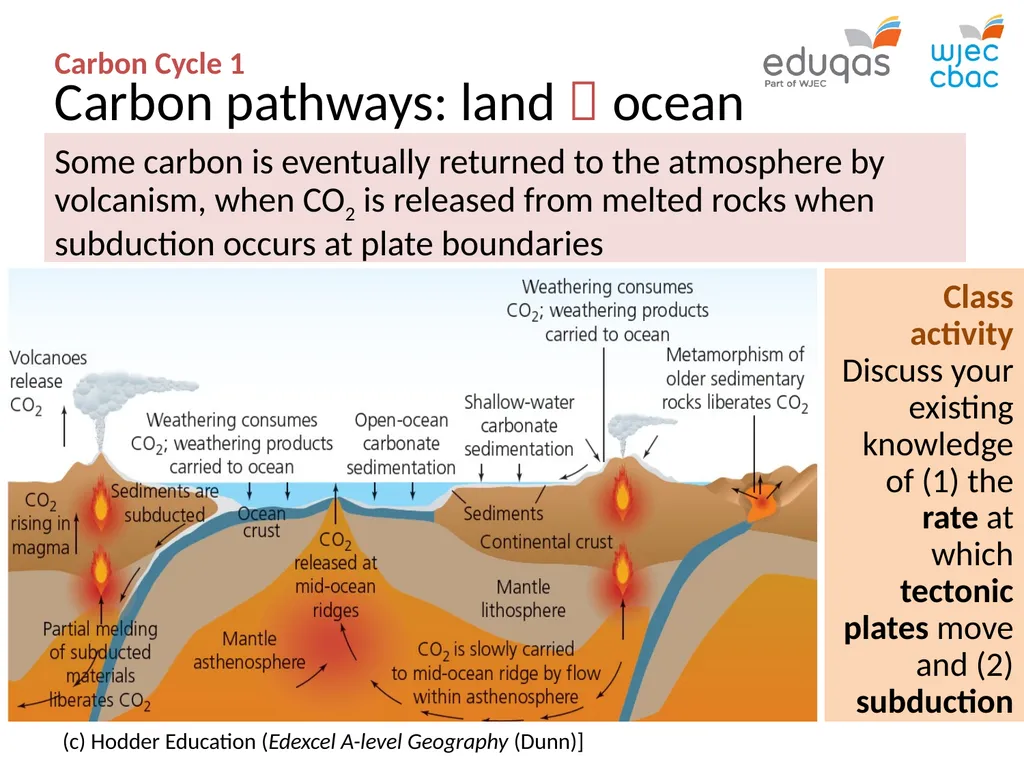 CARBON CYCLE 1 : system concepts WJEC Focus Box - slide 12 of 13