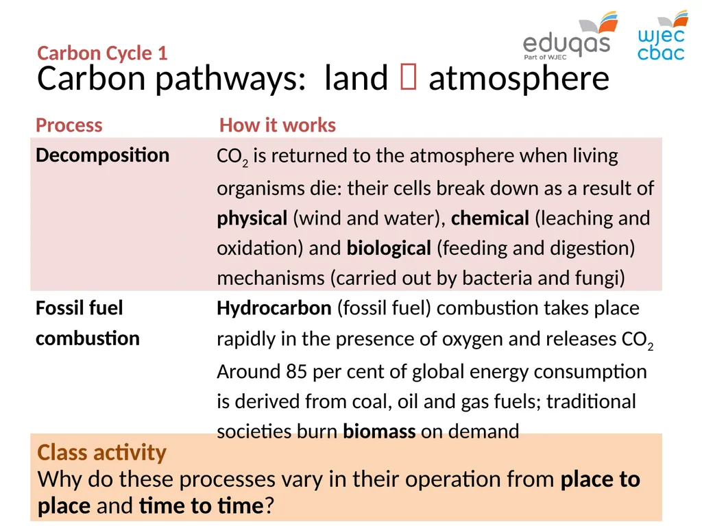 CARBON CYCLE 1 : system concepts WJEC Focus Box - slide 7 of 13