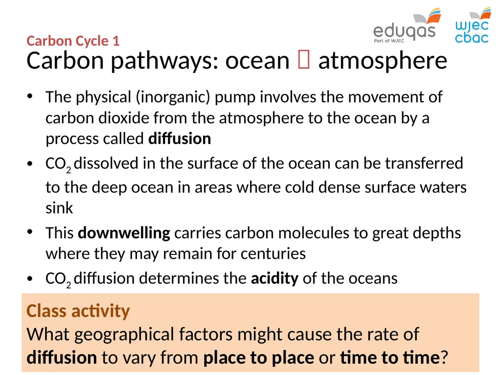 CARBON CYCLE 1 : system concepts WJEC Focus Box - slide 9 of 13