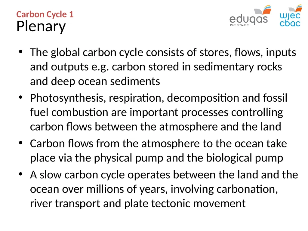 CARBON CYCLE 1 : system concepts WJEC Focus Box - slide 13 of 13
