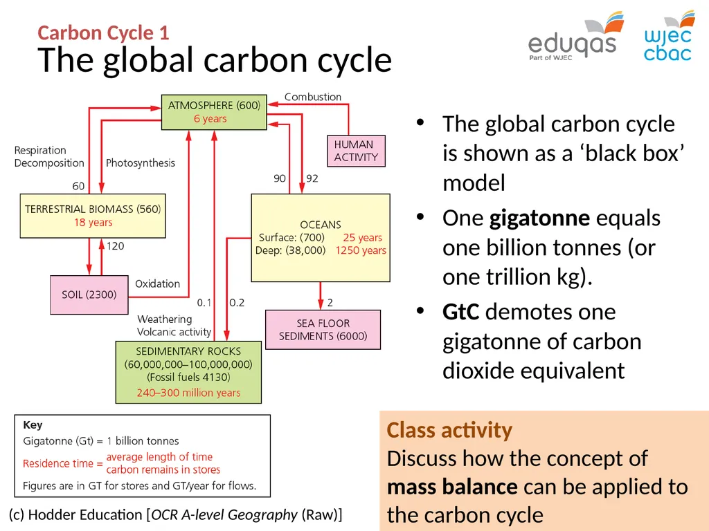 CARBON CYCLE 1 : system concepts WJEC Focus Box - slide 3 of 13