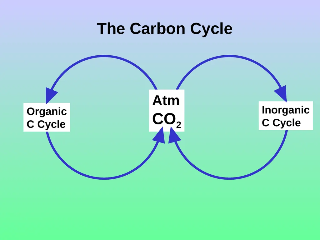 Chapter 8—Part 1 Fluxes and reservoirs/ The - slide 14 of 33