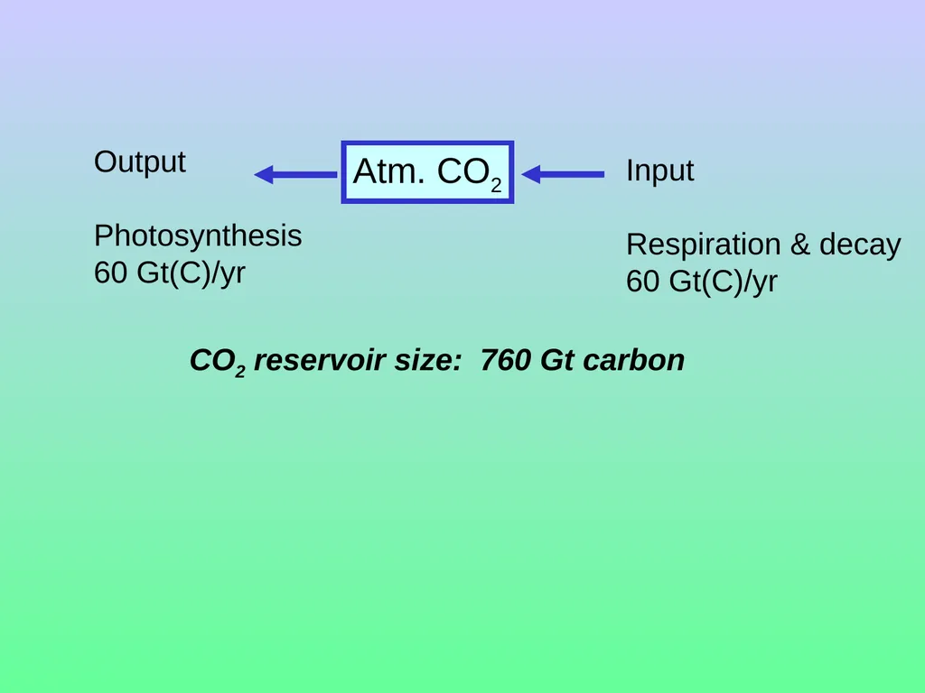 Chapter 8—Part 1 Fluxes and reservoirs/ The - slide 21 of 33