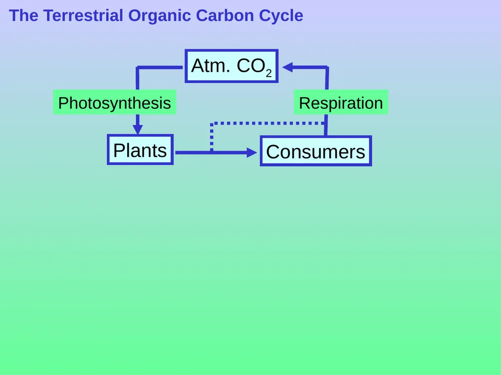 Chapter 8—Part 1 Fluxes and reservoirs/ The - slide 23 of 33