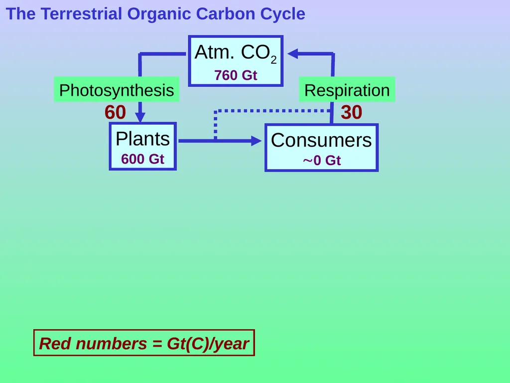 Chapter 8—Part 1 Fluxes and reservoirs/ The - slide 24 of 33