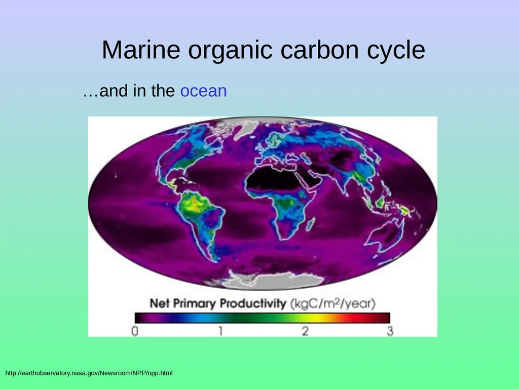 Chapter 8—Part 1 Fluxes and reservoirs/ The - slide 17 of 33