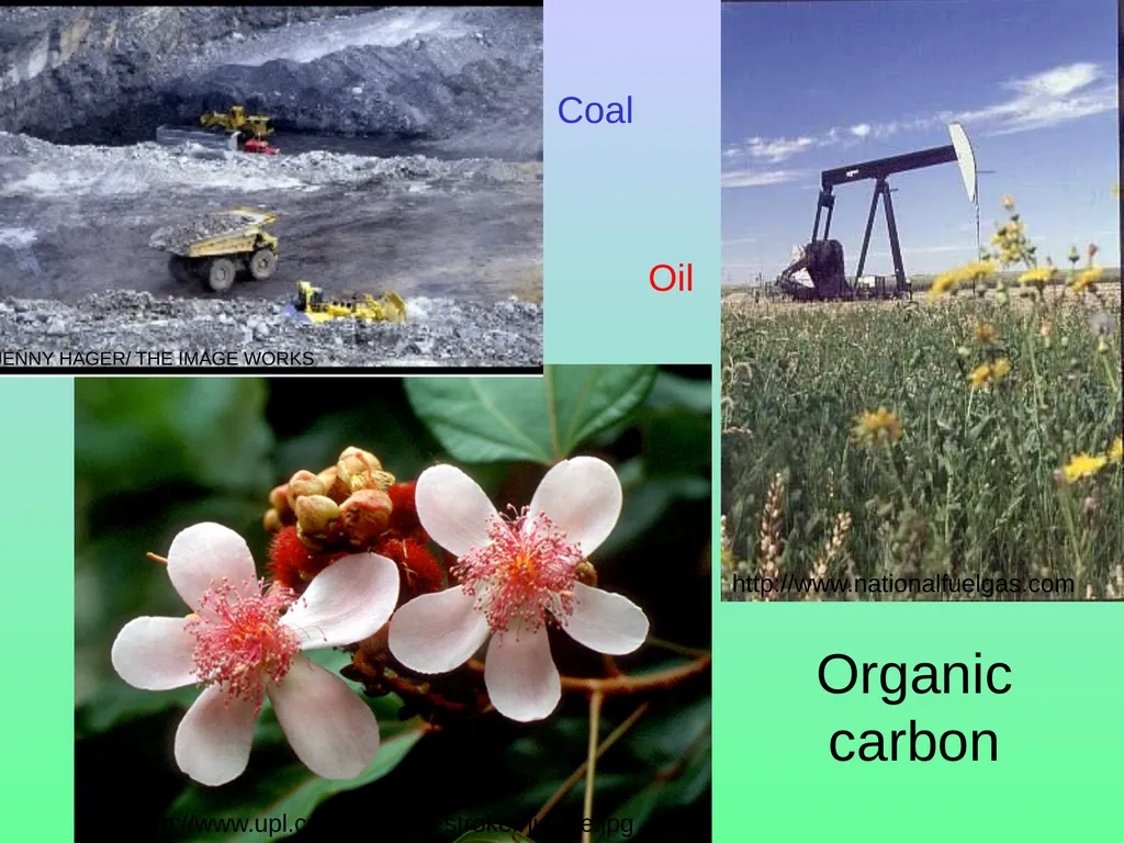 Chapter 8—Part 1 Fluxes and reservoirs/ The - slide 12 of 33