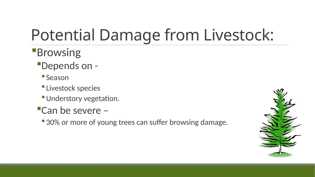Forest Grazing: Impacts & Management REM 456 - - slide 7 of 14