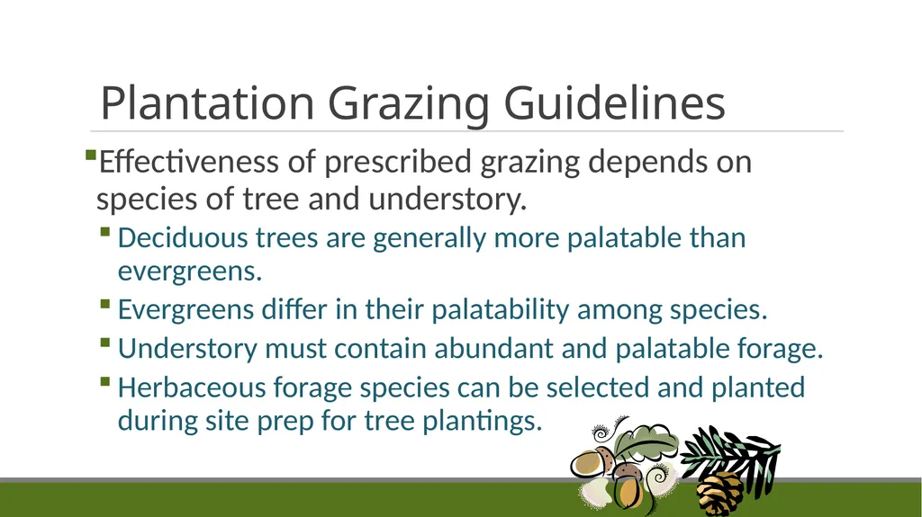 Forest Grazing: Impacts & Management REM 456 - - slide 8 of 14