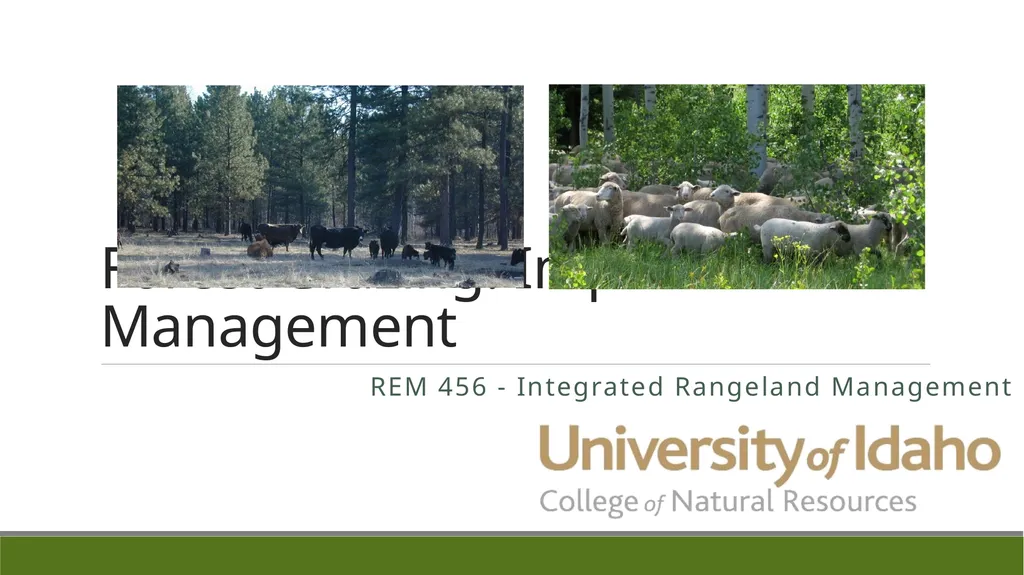Forest Grazing: Impacts & Management REM 456 - - slide 1 of 14