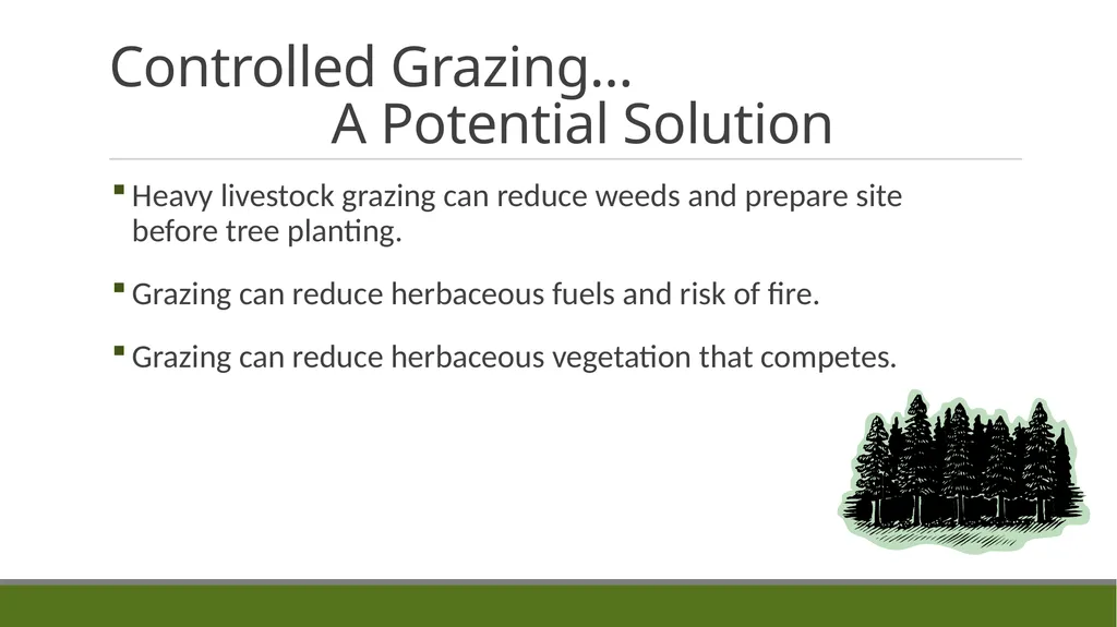 Forest Grazing: Impacts & Management REM 456 - - slide 3 of 14