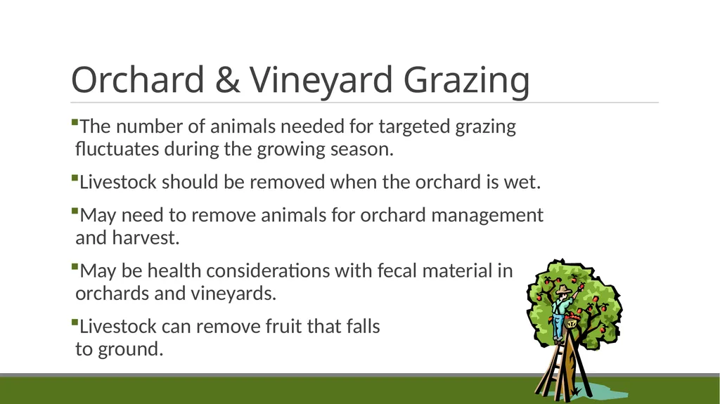 Forest Grazing: Impacts & Management REM 456 - - slide 13 of 14