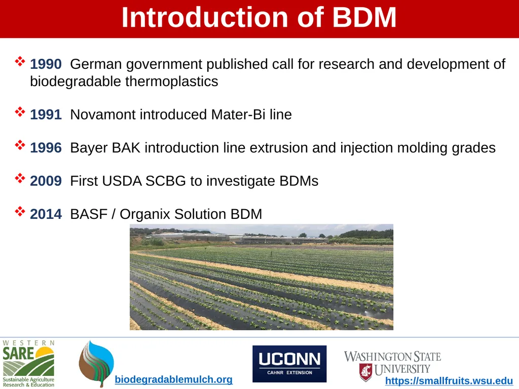 What is Soil-Biodegradable Mulch? - slide 3 of 10