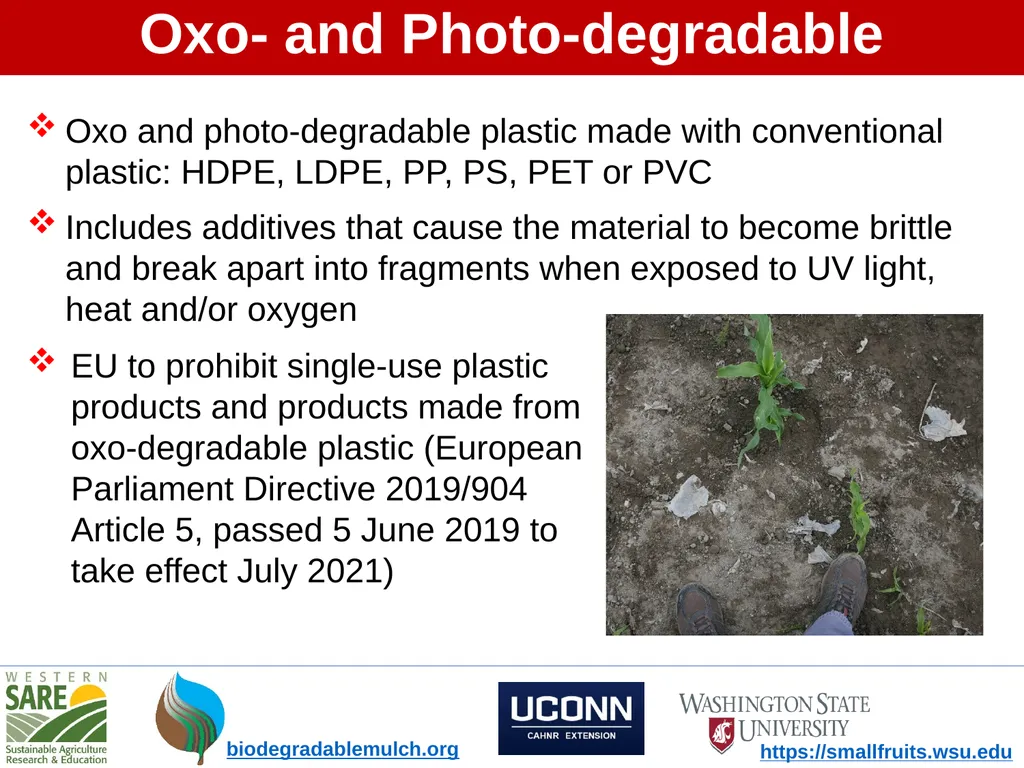 What is Soil-Biodegradable Mulch? - slide 9 of 10