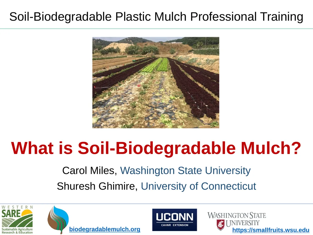 What is Soil-Biodegradable Mulch? - slide 1 of 10