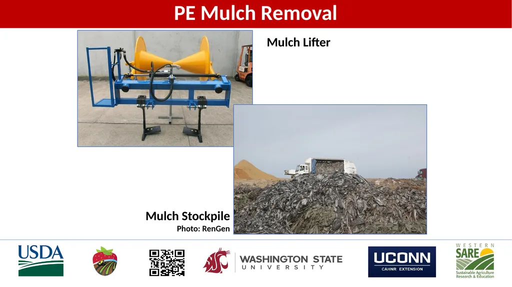 Soil-Biodegradable Mulch for Crop Production Carol - slide 3 of 9