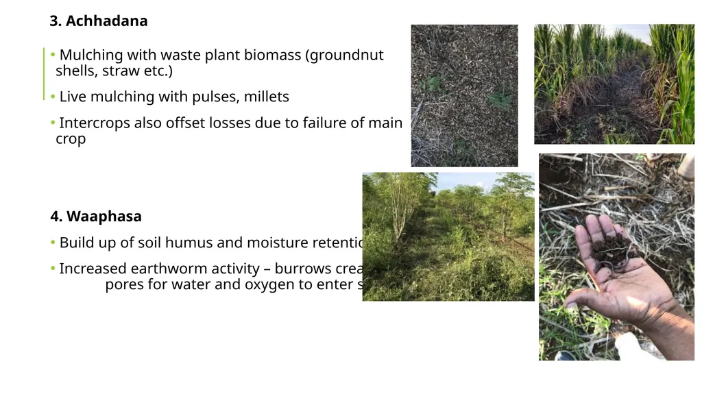 Zero budget natural farming Exploratory Fieldwork - slide 4 of 17