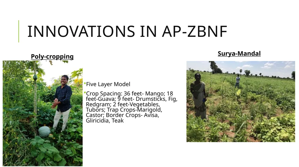Zero budget natural farming Exploratory Fieldwork - slide 15 of 17