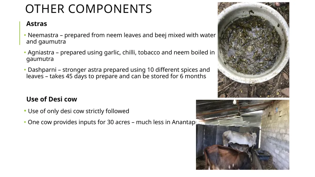 Zero budget natural farming Exploratory Fieldwork - slide 5 of 17