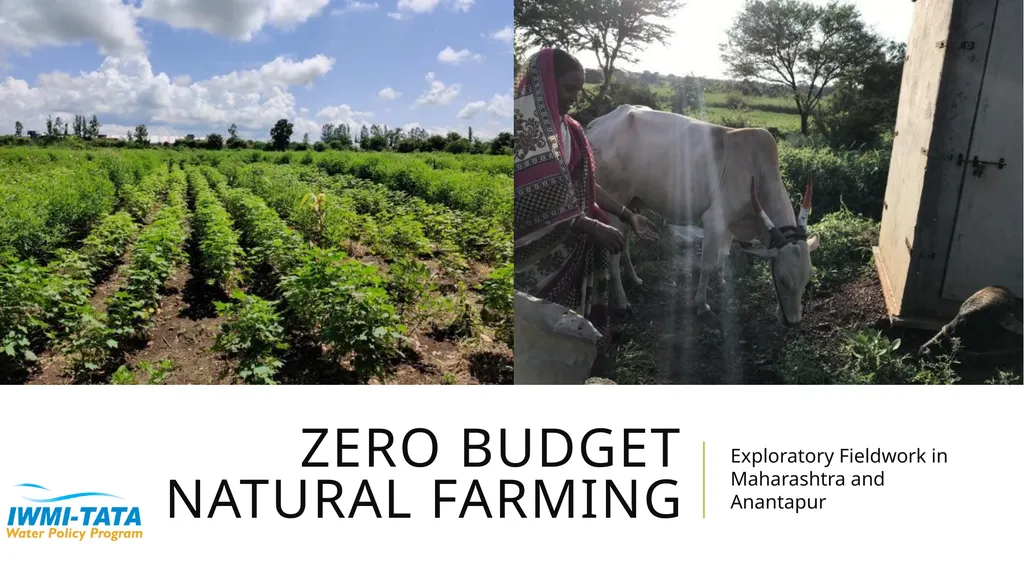 Zero budget natural farming Exploratory Fieldwork - slide 1 of 17