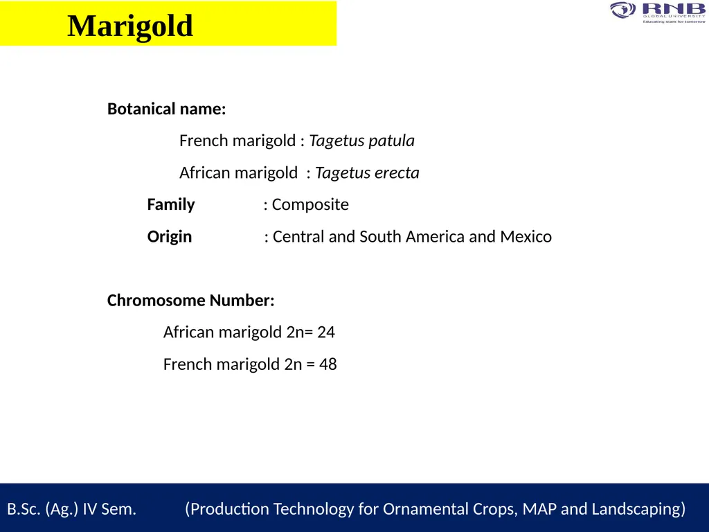 Course Name- Production Technology for Ornamental - slide 4 of 13