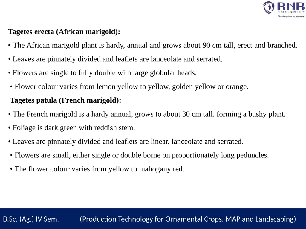 Course Name- Production Technology for Ornamental - slide 5 of 13