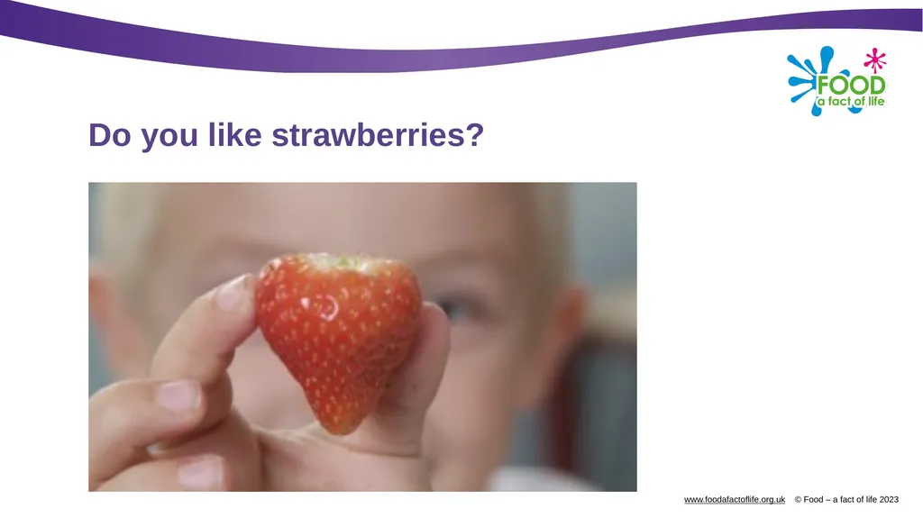 Growing strawberries Do you know what these are? - slide 17 of 18