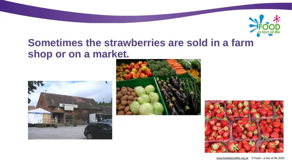 Growing strawberries Do you know what these are? - slide 15 of 18